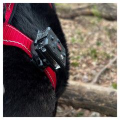 Guardian Angel Snap Latch Mount & Screw-On (K9)